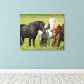 Toile Chevaux dans le ranch, sud de l'Islande (Insitu (Plancher de Bois))