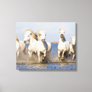 Toile Chevaux de Camargue