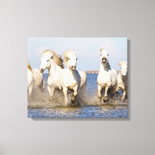 Toile Chevaux de Camargue (Recto)