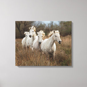 Toile Chevaux de Camargue en course