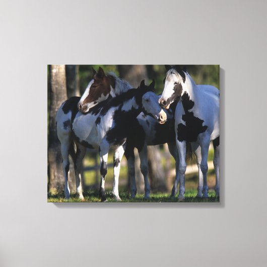 Toile Chevaux de peinture (Recto)