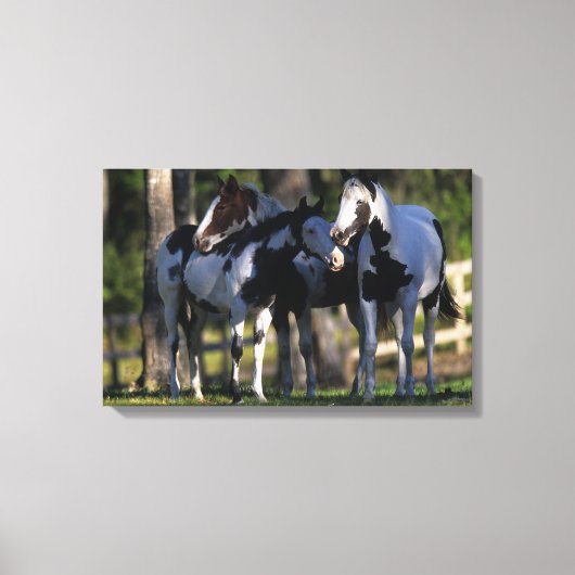 Toile Chevaux de peinture (Recto)