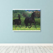 Toile Chevaux de Thoroughbred en champ de fleurs (Insitu (Plancher de Bois))