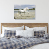 Toile Chevaux d'Imaginaire : Seigneur du lac (Insitu(Chambre))