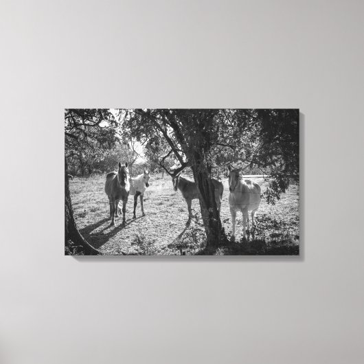 Toile Chevaux en campagne (Recto)