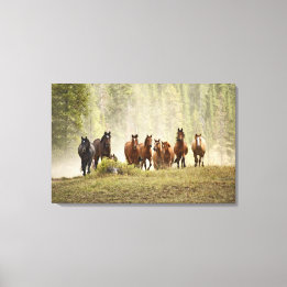 Toile Chevaux franchissant une petite colline lors d'une