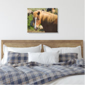 Toile Chevaux islandais dans le nord-est de l'Islande (Insitu(Chambre))