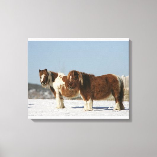 Toile Chevaux miniatures debout dans la neige (Recto)