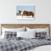 Toile Chevaux miniatures debout dans la neige (Insitu(Chambre))
