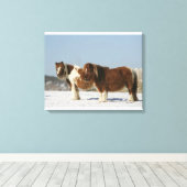 Toile Chevaux miniatures debout dans la neige (Insitu (Plancher de Bois))
