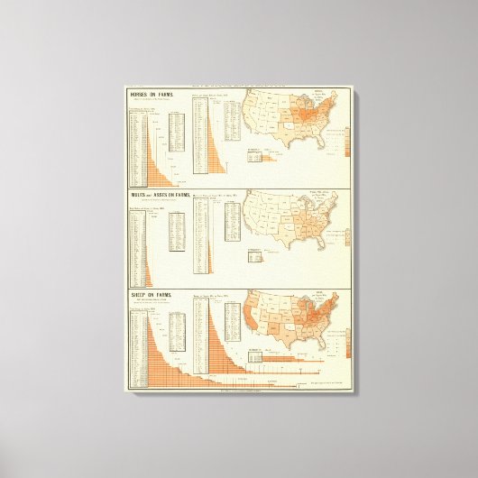 Toile Chevaux, mules, ânes, moutons (Recto)