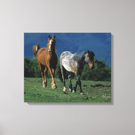 Toile Chevaux Mustang Sauvages (Recto)