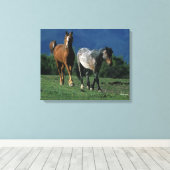Toile Chevaux Mustang Sauvages (Insitu (Plancher de Bois))