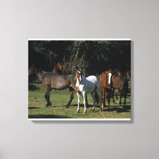 Toile Chevaux Mustang Sauvages 1 (Recto)