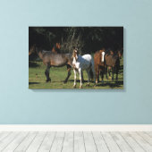 Toile Chevaux Mustang Sauvages 1 (Insitu (Plancher de Bois))