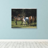 Toile Chevaux Mustang Sauvages 1 (Insitu (Plancher de Bois))