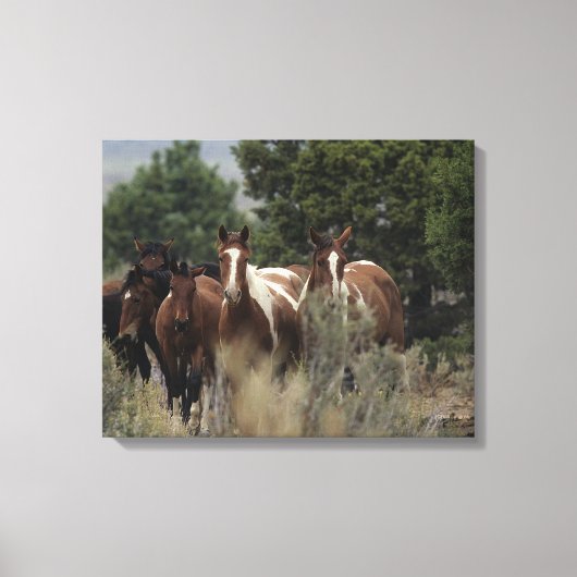Toile Chevaux Mustang Sauvages 2 (Recto)