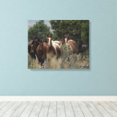 Toile Chevaux Mustang Sauvages 2 (Insitu (Plancher de Bois))