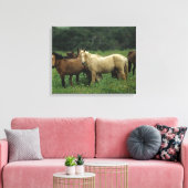 Toile Chevaux Mustang Sauvages 4 (Insitu(Salon))