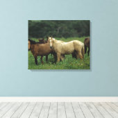 Toile Chevaux Mustang Sauvages 4 (Insitu (Plancher de Bois))
