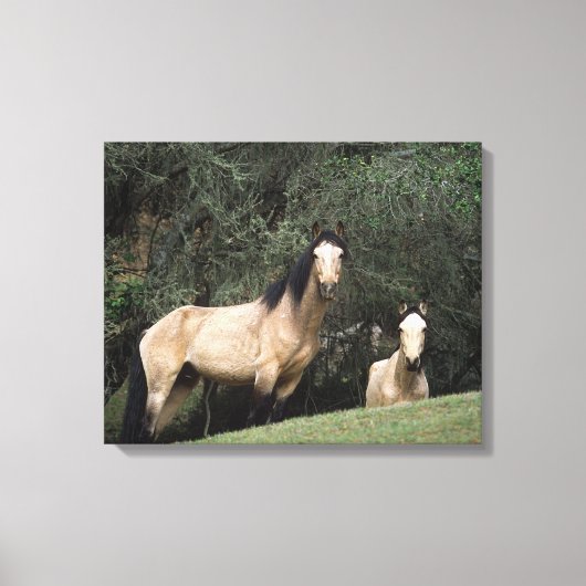 Toile Chevaux Mustang Sauvages 6 (Recto)