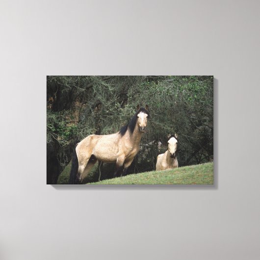 Toile Chevaux Mustang Sauvages 6 (Recto)