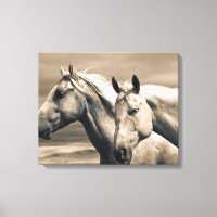 Chevaux Quarter Horse dans la Prairie Canadienne