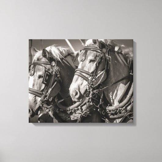 Toile Chevaux roux de Belgique (Recto)