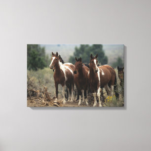 Toile Chevaux sauvages 7 de mustang