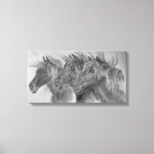 Chevaux sauvages au vent