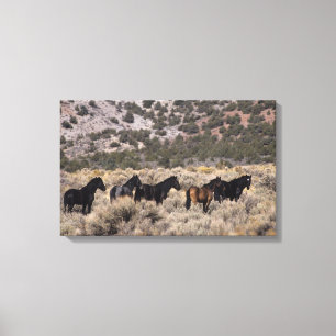 Toile Chevaux sauvages de mustang dans le désert 2