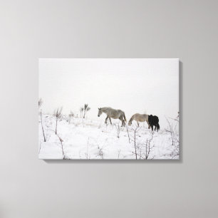 Toile Chevaux Sauvages En Snow Single