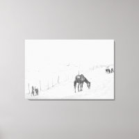 Chevaux sauvages ruraux noirs et blancs monochrome