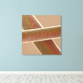 Toile Cheveux (Insitu (Plancher de Bois))