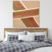 Toile Cheveux (Insitu(Chambre))