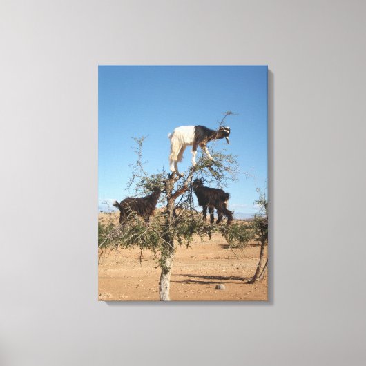 Toile Chèvres amusantes dans un arbre (Recto)
