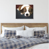 Toile Chic Chiot Brown Et Blanc (Insitu(Chambre))