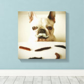 Toile Chien À Balle Français Avec Moustache (Insitu (Plancher de Bois))