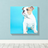 Toile Chien à chien mignon (Insitu (Plancher de Bois))