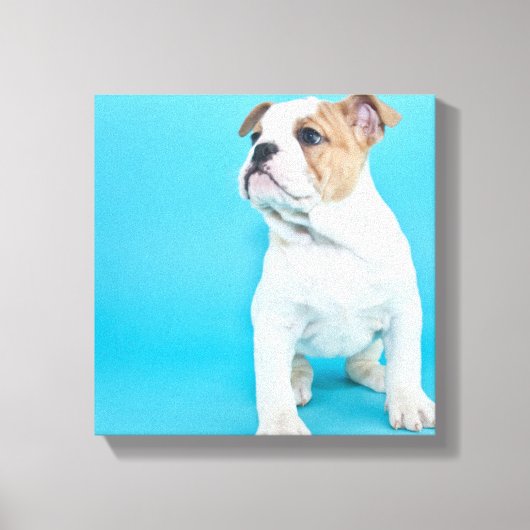 Toile Chien à chien mignon (Recto)