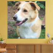 Toile Chien à poitrine basse en polis en laisse (Insitu(Salon))