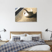 Toile Chien allongé sur le sol (Insitu(Chambre))