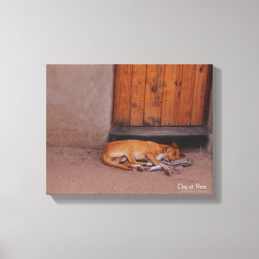 Toile Chien au repos (Recto)