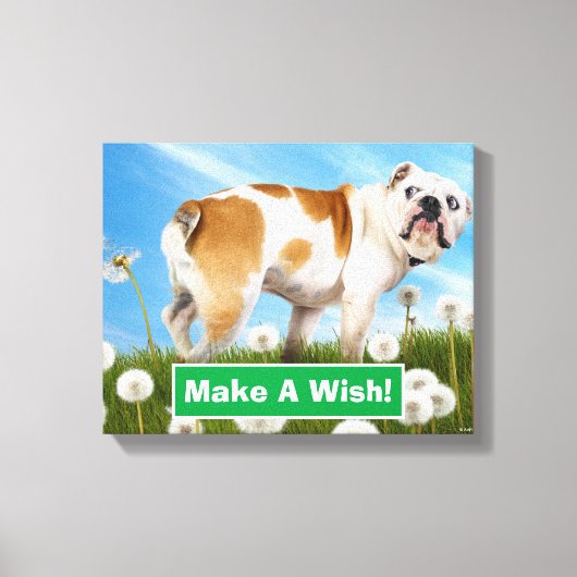 Toile Chien avec Dandelion (Recto)