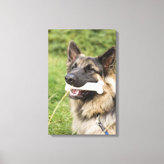 Toile Chien avec os (Recto)