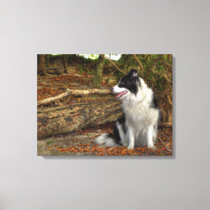 Toile Chien Border Collie dans une forêt automnale feuil
