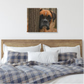 Toile Chien Boxer Regarde-moi (Insitu(Chambre))