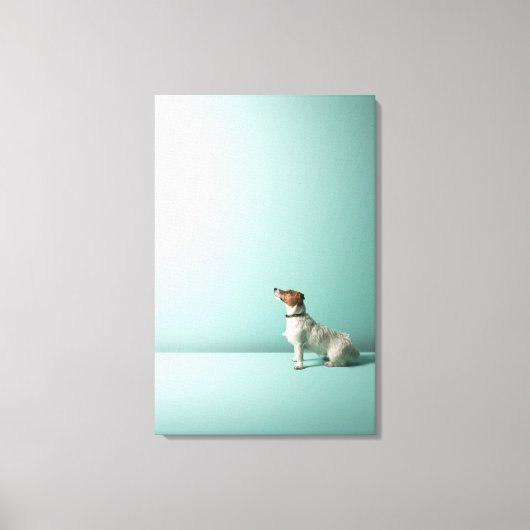 Toile chien cherchant dans l'espace (Recto)