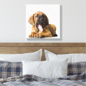 Toile Chien chiot (Insitu(Chambre))