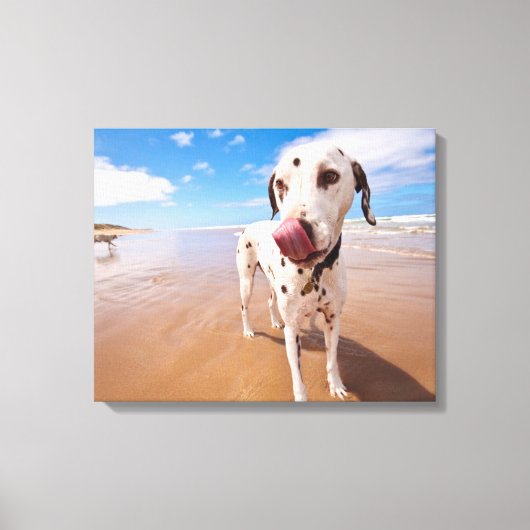 Toile Chien Dalmatien Sur La Plage (Recto)